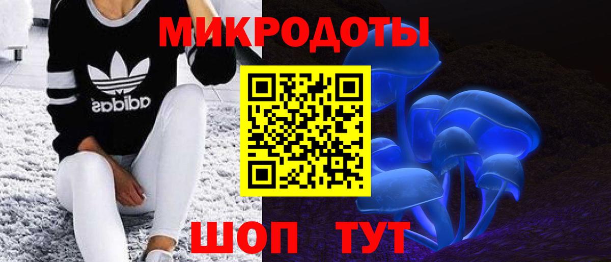 Галлюциногенные грибы Psilocybine cubensis Джанкой