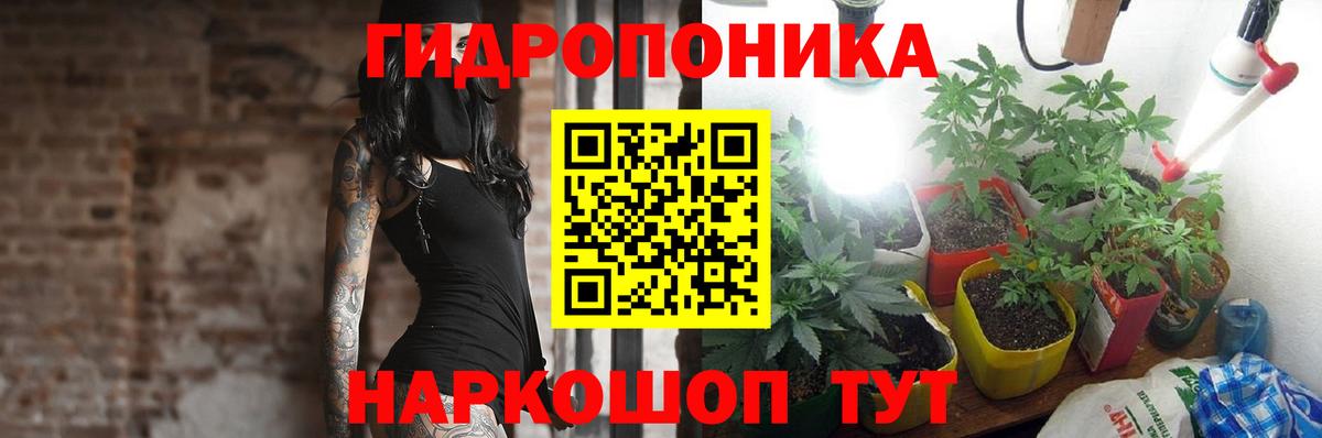 МАРИХУАНА конопля Джанкой